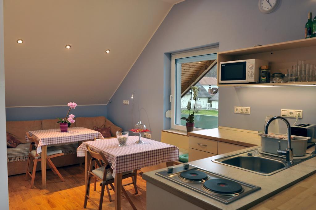 Apartment Silec Smarje pri Jelsah Εξωτερικό φωτογραφία